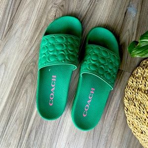 Beautiful coach slides